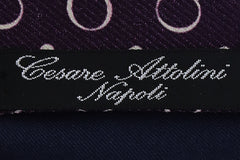 Cesare Attolini Brown Other Silk Tie (1582)