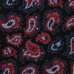 Finamore Napoli Black Paisley Silk Tie (1346)