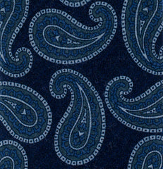 Cesare Attolini Blue Paisley Tie - 3.25" x 58" - (CATIEX216)