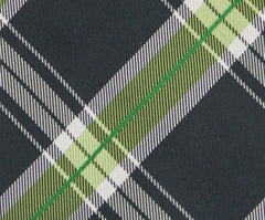 Finamore Napoli Dark Green Plaid Tie - 3.25" x 57" - (TIEWNPX254)