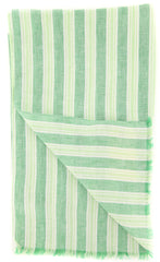 Luigi Borrelli Green Striped Long Scarf - 70" x 27" - (LBSS12153)