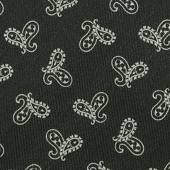 Cesare Attolini Dark Green Paisley Silk Tie (1547)