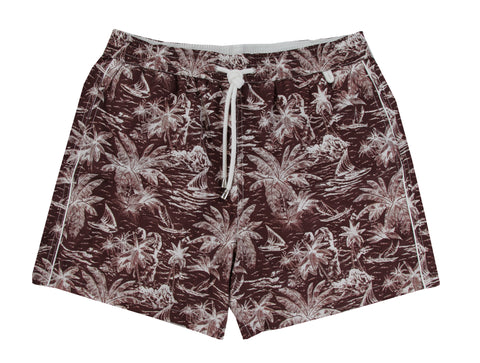Isaia Brown Swim Shorts