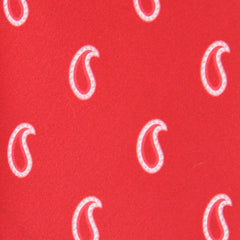 Brioni Red Paisley Tie - 3" x 59" - (BRTIEX10)