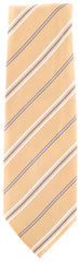 Finamore Napoli Yellow Striped Tie - 3.25" x 58" - (TIESTRX130)