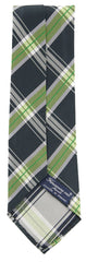 Finamore Napoli Dark Green Plaid Tie - 3.25" x 57" - (TIEWNPX254)